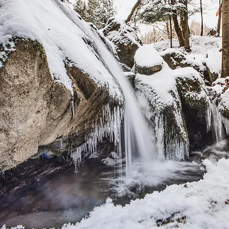 Chalé Pyrgielówka- Roztoki *
